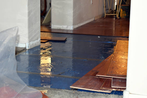 Professional Flood Damage Restoration technician working in Kathryn, ND